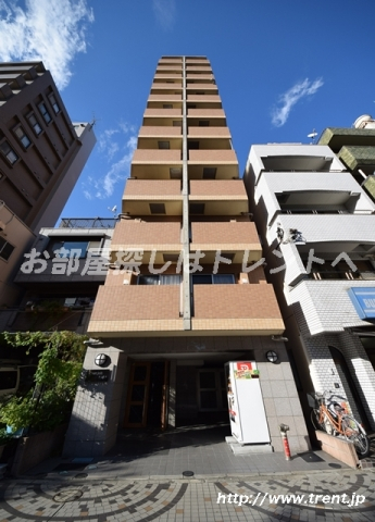 セジョリ早大通り