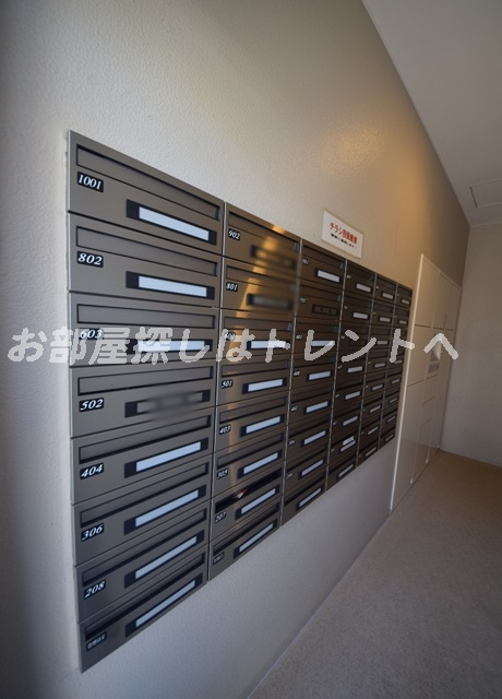 アクシア白山