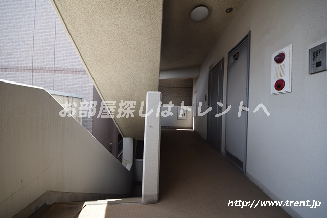フォレストヒルズ小日向
