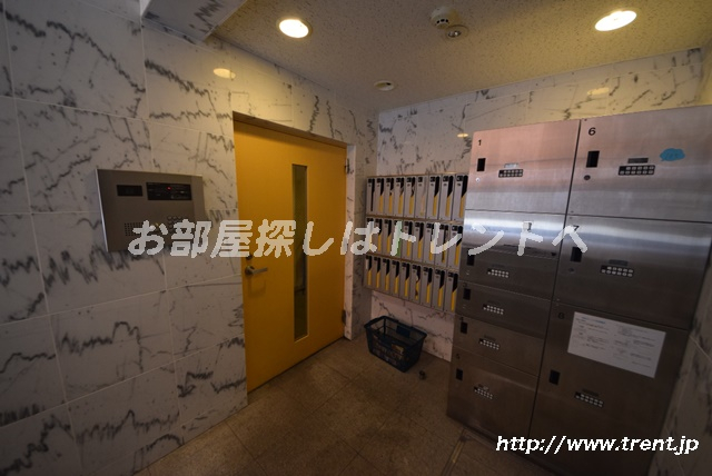 ユナイテッドグロー文京白山