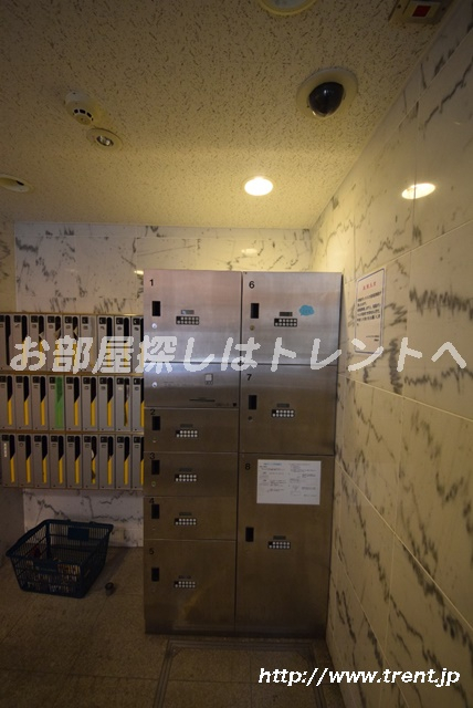 ユナイテッドグロー文京白山