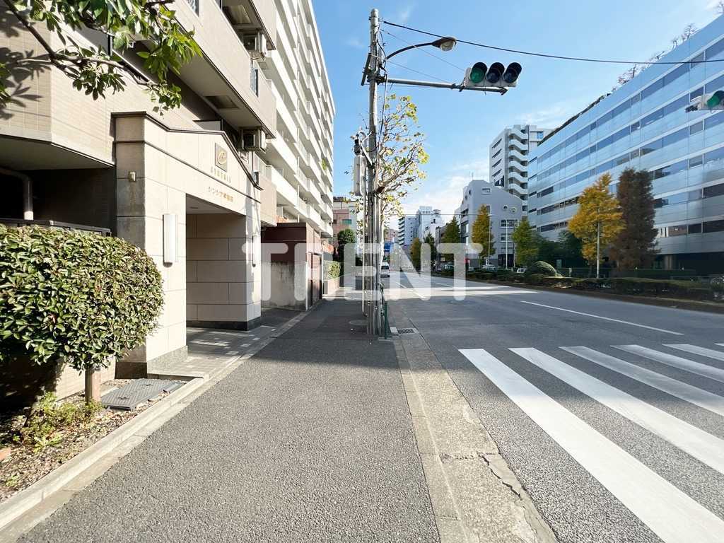 シンシア早稲田