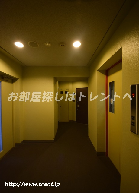 池之端加茂ビルD