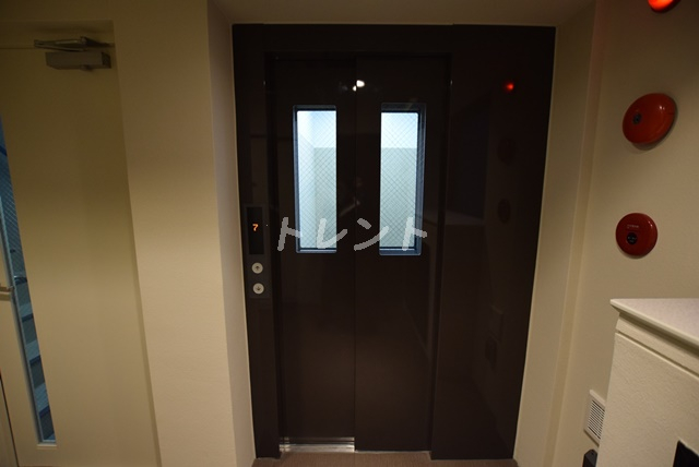 シルヴァーアウル