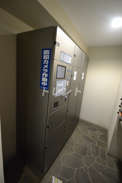 レナトゥス四谷