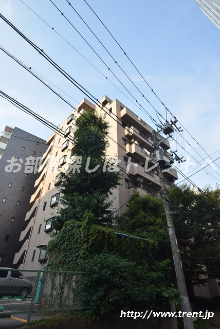 グリーンコート