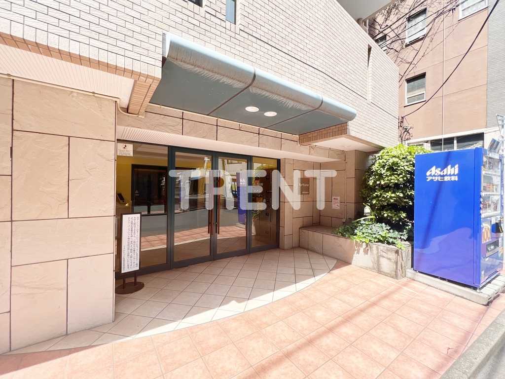 フォルトゥナ秋葉原