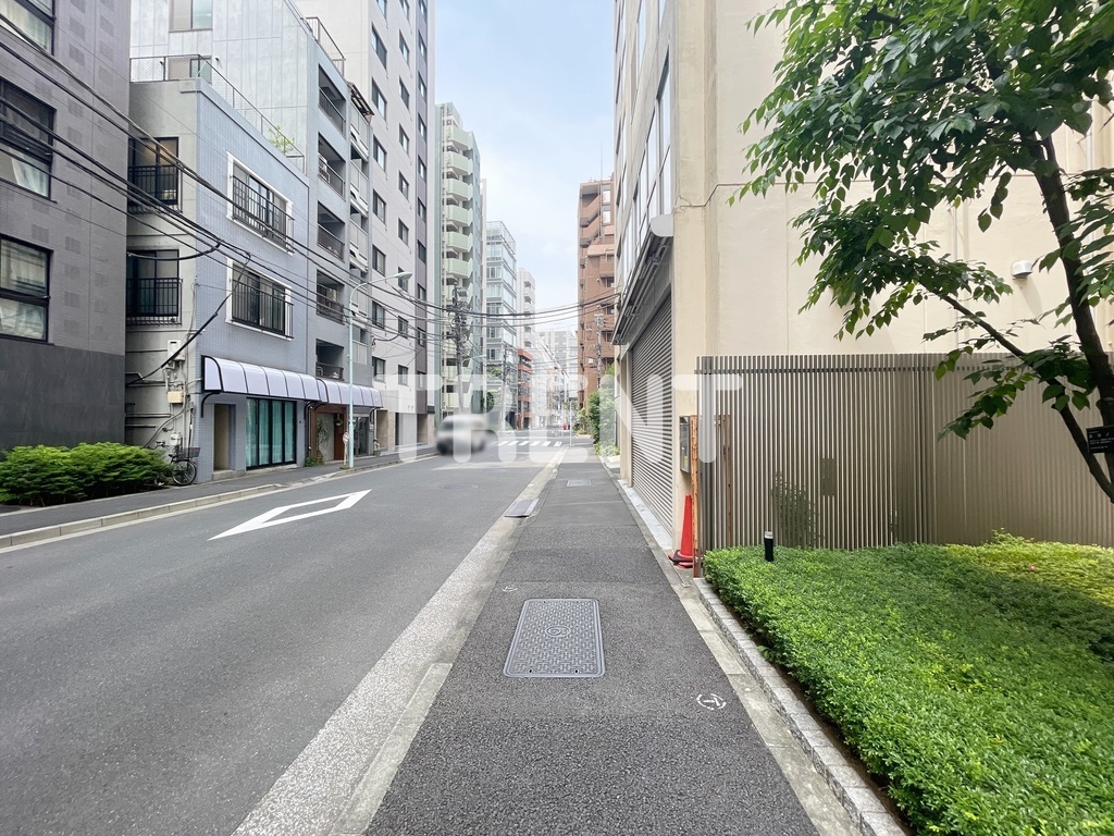 アデニウム東神田