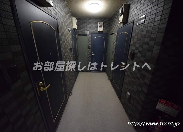 プロフ九段
