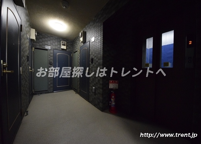 プロフ九段