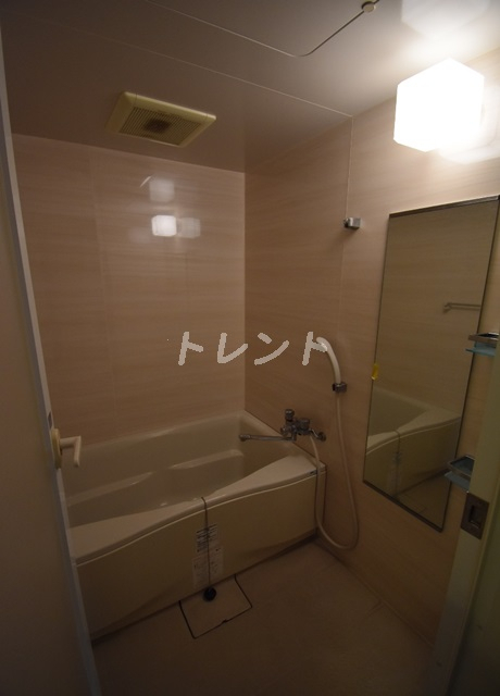 ブレコンプラザ銀座-502