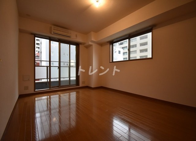 ブレコンプラザ銀座-502