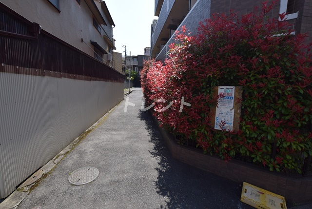 ミリオンガーデン小石川-501