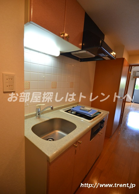 ルーブル渋谷本町-405