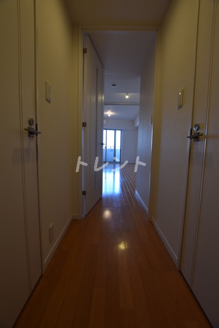 ステラメゾン茗荷谷-1003