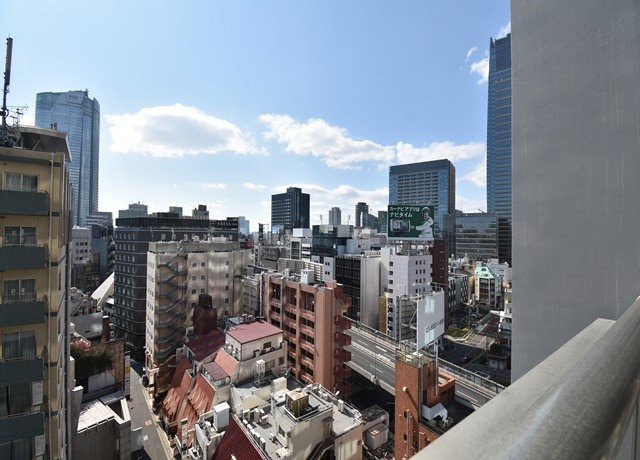ザ六本木東京クラブレジデンス【THE ROPPONGI TOKYO CLUB RESIDENCE】-1913