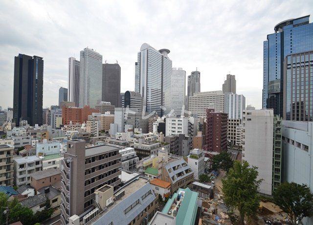 ヴェルデコート西新宿-1104