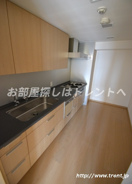 パークハウス市谷仲之町-311