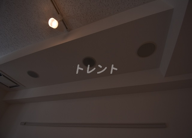 ラシクラスラゾ銀座イースト【ラシクラスLAZOginzaeast】-702