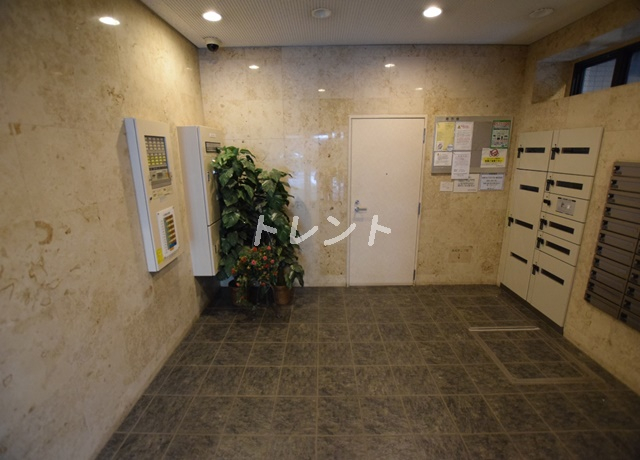 コートフェリシア-203
