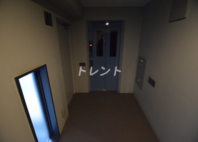 コートフェリシア-203