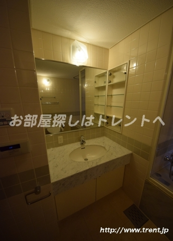ルーフ御茶ノ水ヒルズ-10B