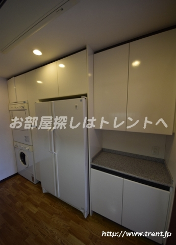 ルーフ御茶ノ水ヒルズ-10B