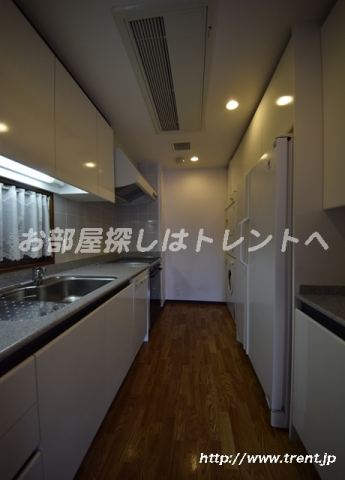 ルーフ御茶ノ水ヒルズ-10B