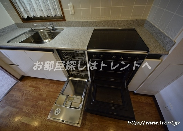 ルーフ御茶ノ水ヒルズ-10B