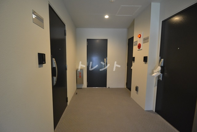 グレースポイント【GRACEPOINT】-101