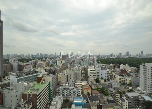 マイタワーレジデンス【MY TOWER RESIDENCE】-1507