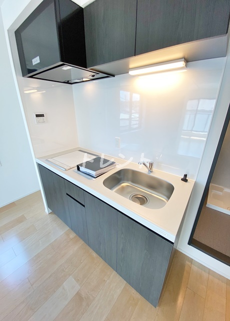 アスティーレ西新宿Ⅱ【ASTILE西新宿Ⅱ】-301