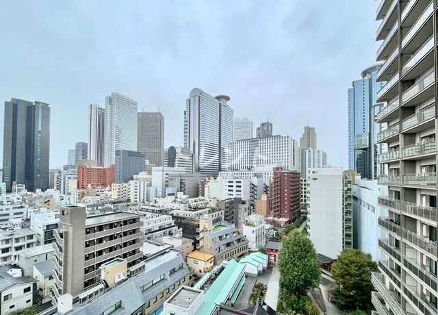 ヴェルデコート西新宿-602