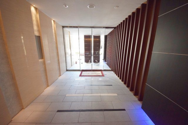 ミラージュエヴァン-1001