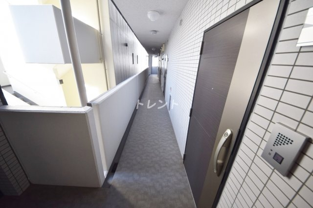 ミラージュエヴァン-1001