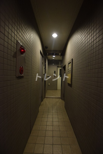 パディホームズ一口坂-302