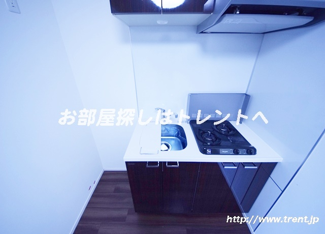 エステムプラザ市谷外濠公園-203