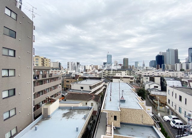 エスティメゾン北新宿-801