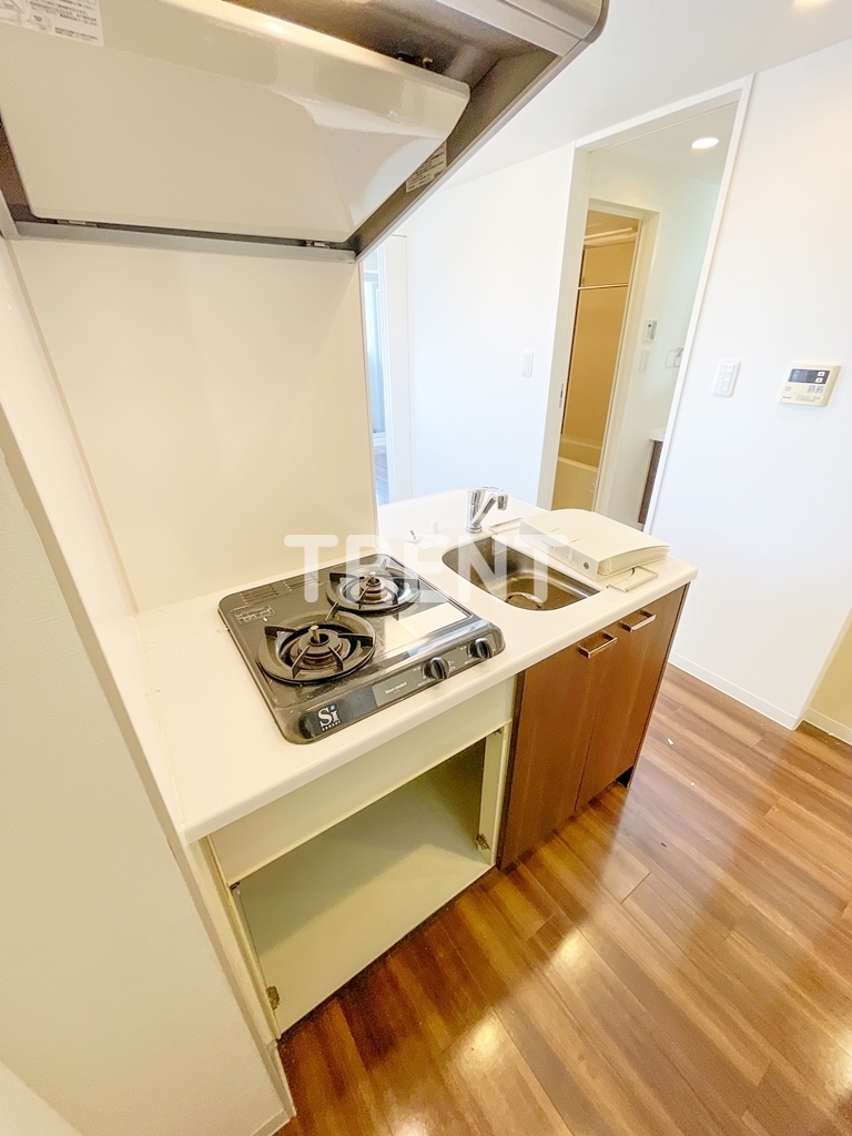 エステムプラザ飯田橋タワーレジデンス-1102