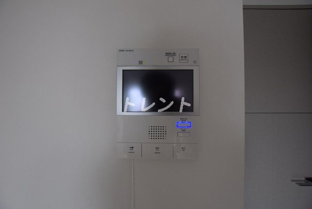 アルテシモルーナ-1002