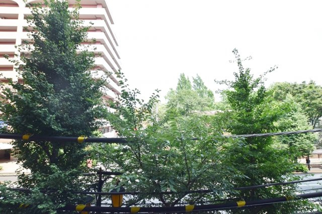 本郷エーワン東大前-702