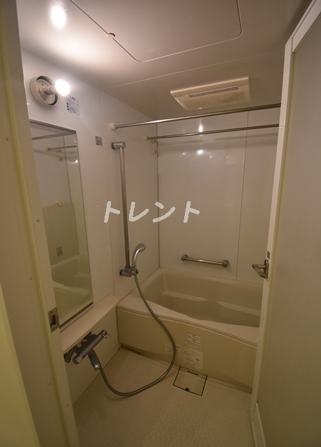 ザトーキョータワーズミッドタワー-1110