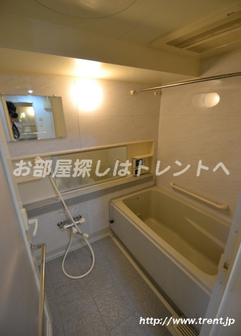 スヴェニール早稲田夏目坂-501