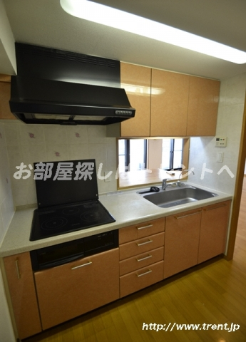 スヴェニール早稲田夏目坂-501