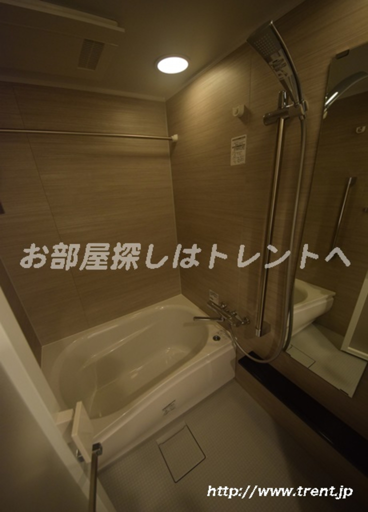 エルスタンザ平河町-705