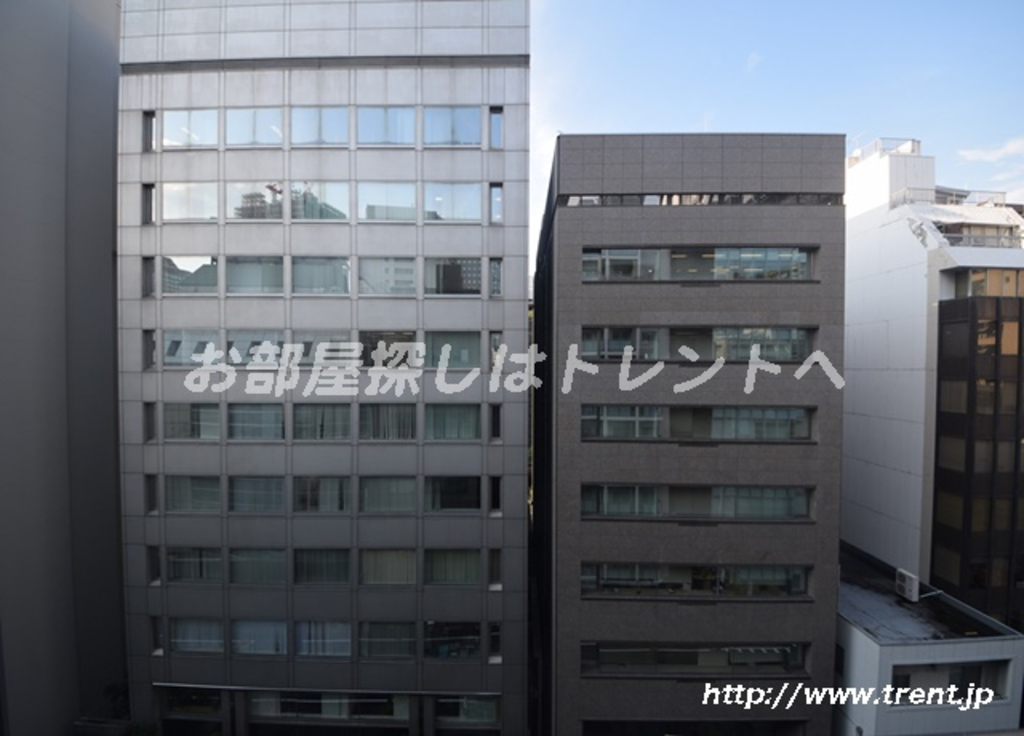 エルスタンザ平河町-705