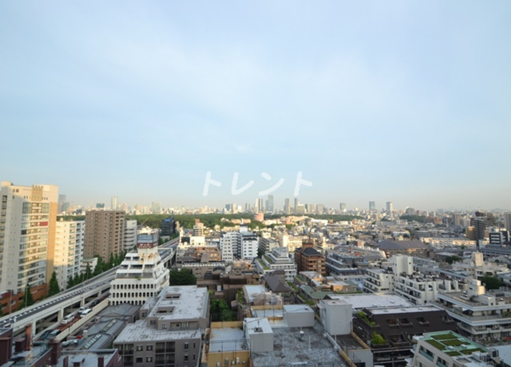 フェニックス西参道タワー-1104