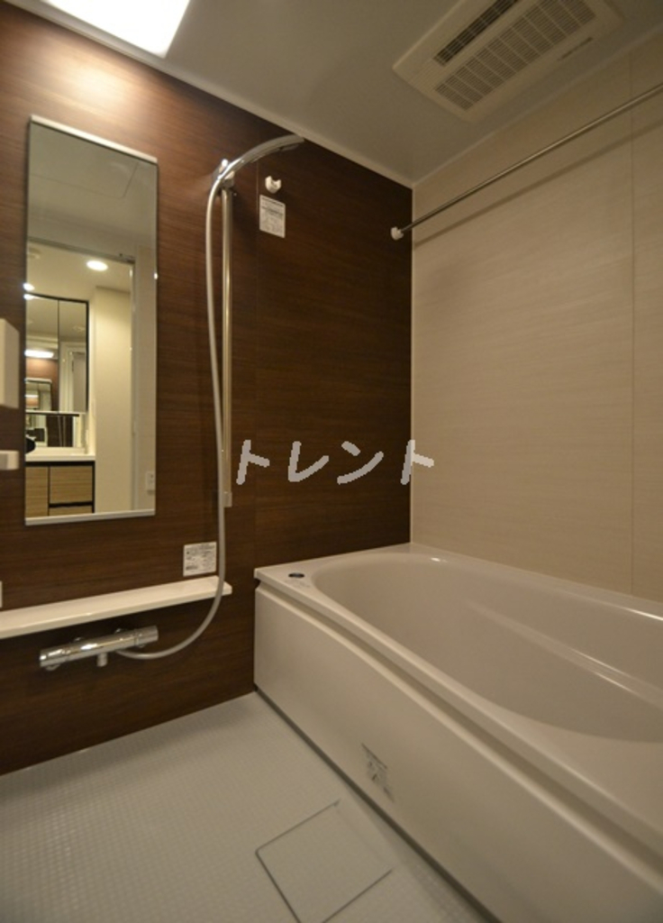 ラミアカーサ東中野-103