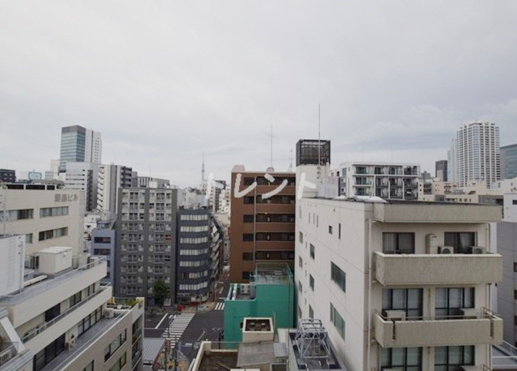 ルフォンプログレ文京湯島-1101