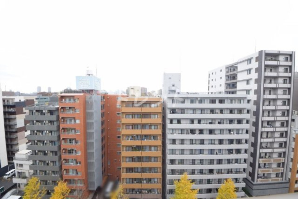 ラフィーネ音羽西棟-1201